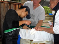 KHV Serology: Kevin Pham obtaining blood.  A 55 gallon drum is utilized for a table. Kevin is the only one wearing a waterproof apron on a cool and rainey day.