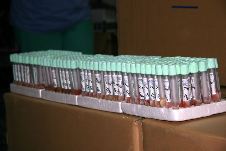 Group of frozen samples awaiting shipment
